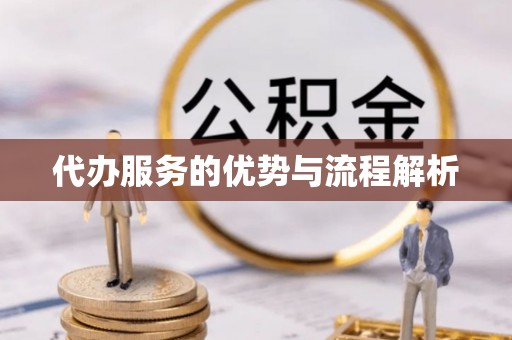 兴文代办服务的优势与流程解析
