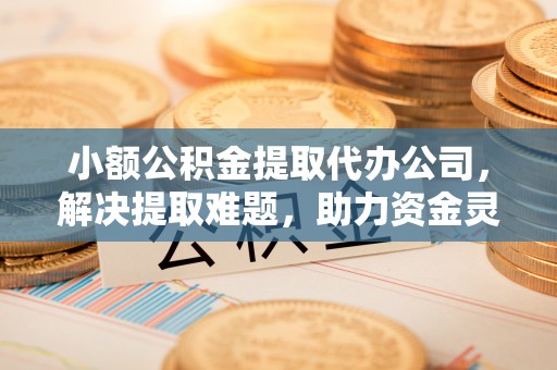 兴文小额公积金提取代办公司，解决提取难题，助力资金灵活使用
