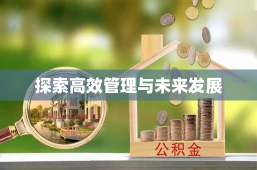 兴文探索高效管理与未来发展