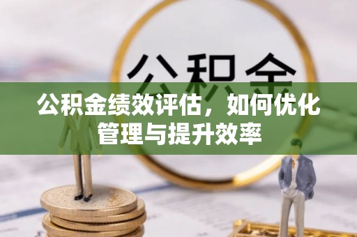 兴文公积金绩效评估，如何优化管理与提升效率