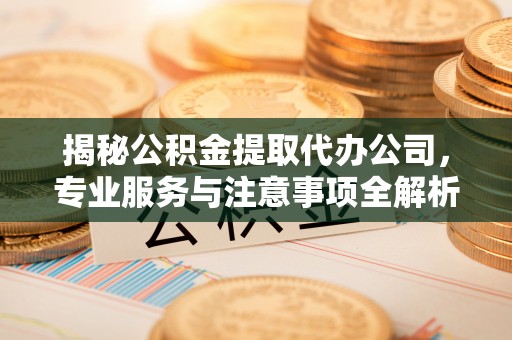 兴文揭秘公积金提取代办公司，专业服务与注意事项全解析