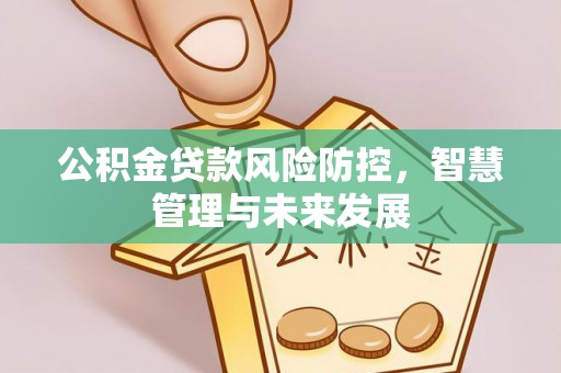 兴文公积金贷款风险防控，智慧管理与未来发展