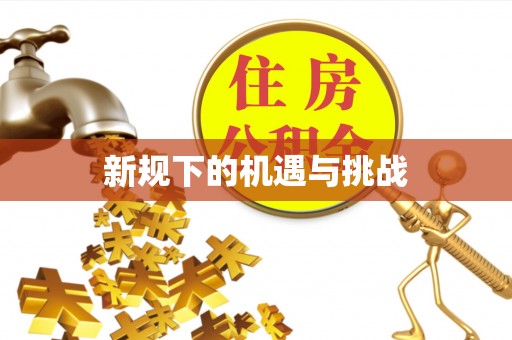 兴文新规下的机遇与挑战