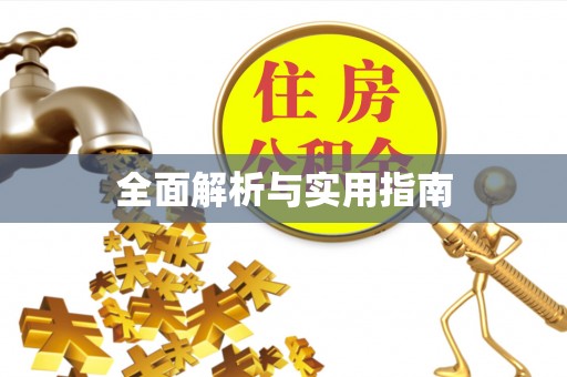 兴文全面解析与实用指南