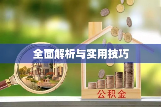 兴文全面解析与实用技巧