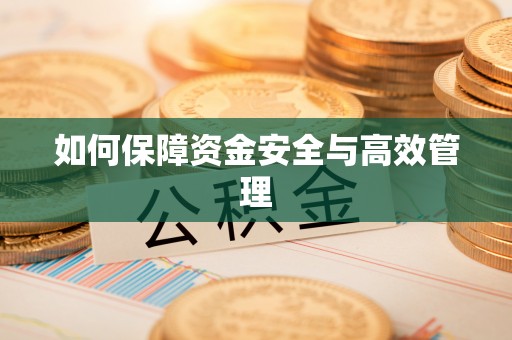 兴文如何保障资金安全与高效管理