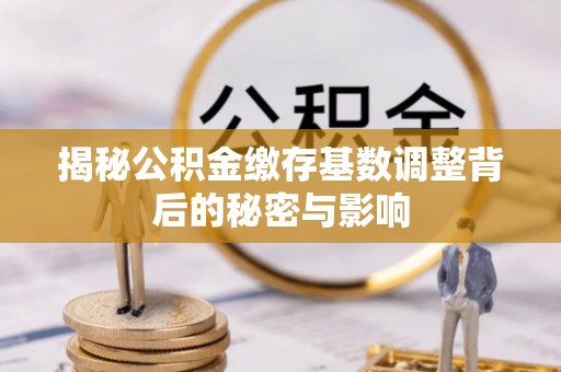 兴文揭秘公积金缴存基数调整背后的秘密与影响