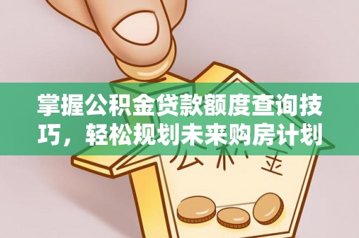 兴文掌握公积金贷款额度查询技巧，轻松规划未来购房计划