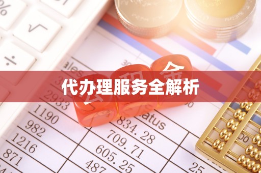 兴文代办理服务全解析