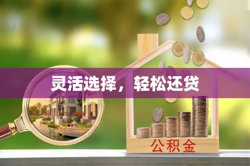 兴文灵活选择，轻松还贷