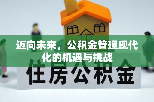 兴文迈向未来，公积金管理现代化的机遇与挑战