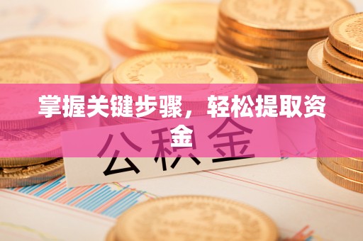 兴文掌握关键步骤，轻松提取资金