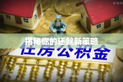 兴文揭秘你的还款新策略