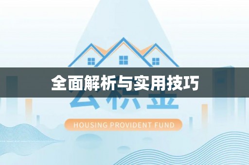 兴文全面解析与实用技巧