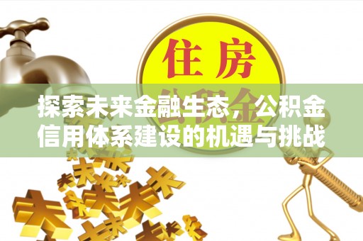 兴文探索未来金融生态，公积金信用体系建设的机遇与挑战