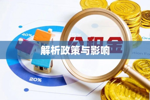 兴文解析政策与影响