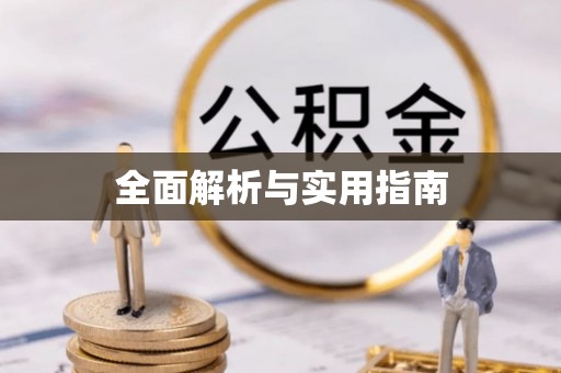 兴文全面解析与实用指南