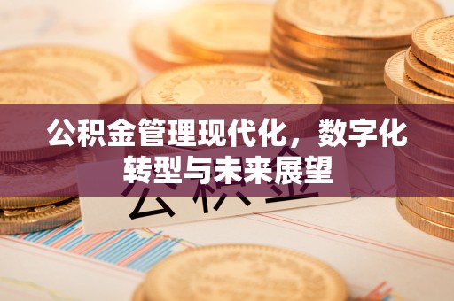 兴文公积金管理现代化，数字化转型与未来展望