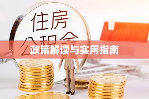 兴文政策解读与实用指南