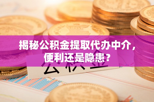 兴文揭秘公积金提取代办中介，便利还是隐患？