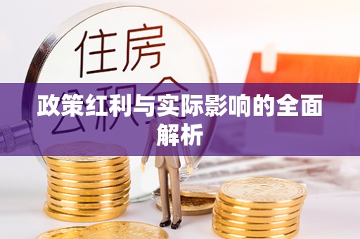 兴文政策红利与实际影响的全面解析