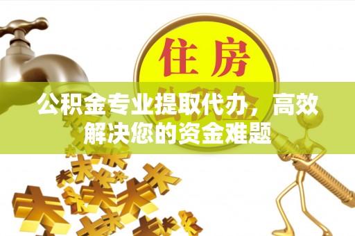 兴文公积金专业提取代办，高效解决您的资金难题