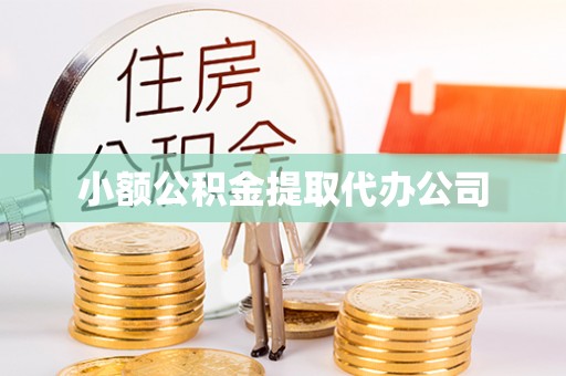 兴文小额公积金提取代办公司
