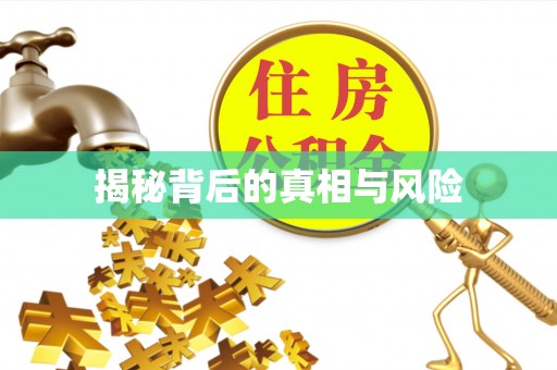 兴文揭秘背后的真相与风险