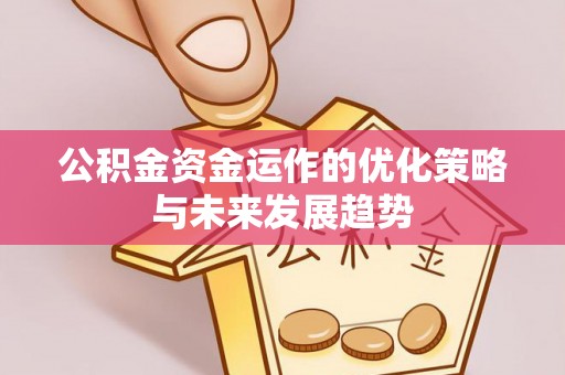 兴文公积金资金运作的优化策略与未来发展趋势