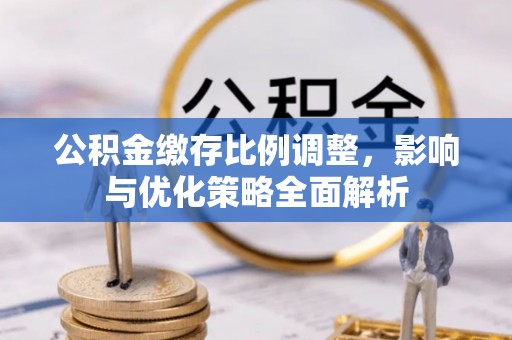 兴文公积金缴存比例调整，影响与优化策略全面解析