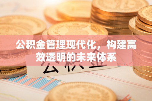 兴文公积金管理现代化，构建高效透明的未来体系