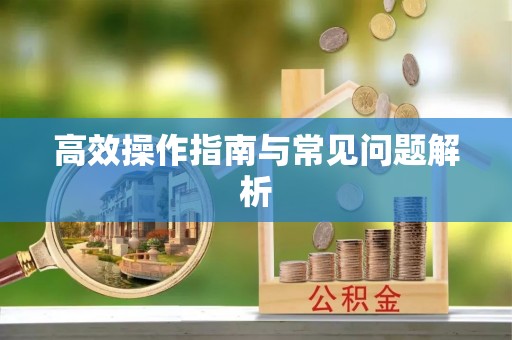 兴文高效操作指南与常见问题解析