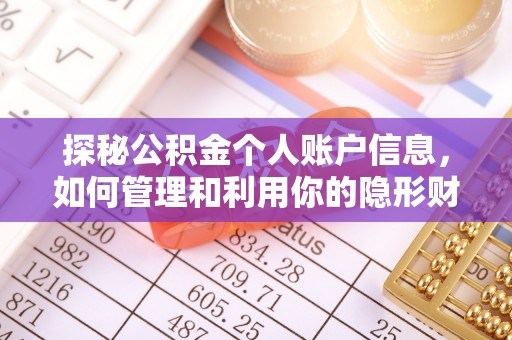 兴文探秘公积金个人账户信息，如何管理和利用你的隐形财富