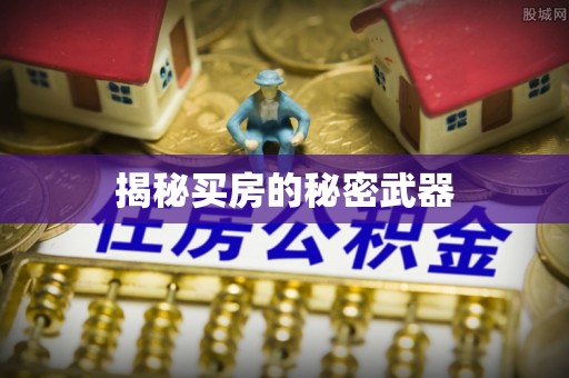 兴文揭秘买房的秘密武器