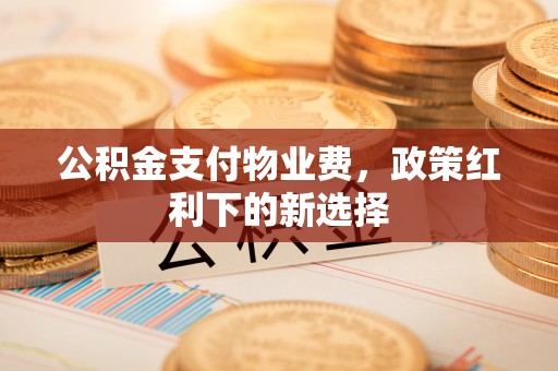 兴文公积金支付物业费，政策红利下的新选择