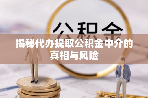 兴文揭秘代办提取公积金中介的真相与风险