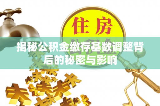 兴文揭秘公积金缴存基数调整背后的秘密与影响
