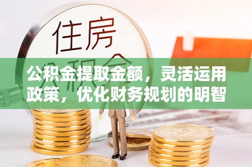 兴文公积金提取金额，灵活运用政策，优化财务规划的明智选择
