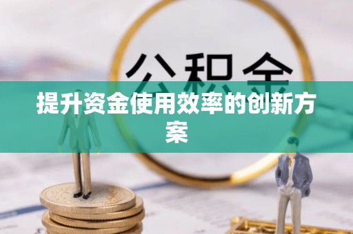 兴文提升资金使用效率的创新方案