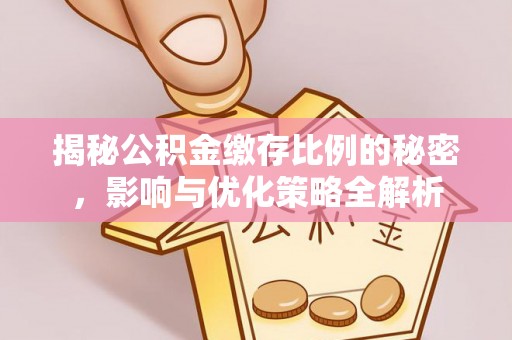 兴文揭秘公积金缴存比例的秘密，影响与优化策略全解析