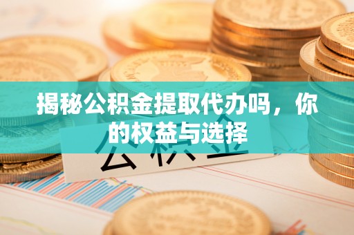 兴文揭秘公积金提取代办吗，你的权益与选择
