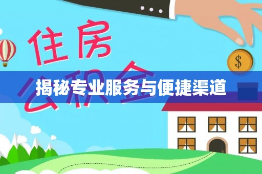 兴文揭秘专业服务与便捷渠道