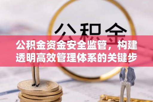 兴文公积金资金安全监管，构建透明高效管理体系的关键步骤