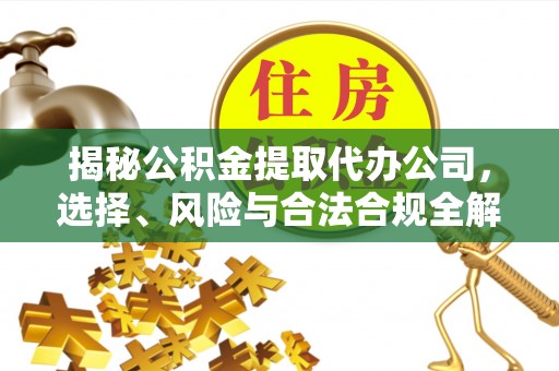 兴文揭秘公积金提取代办公司，选择、风险与合法合规全解析