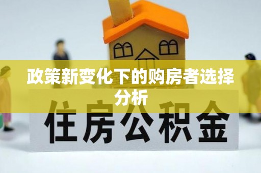 兴文政策新变化下的购房者选择分析