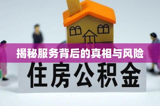 兴文揭秘服务背后的真相与风险