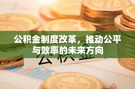 兴文公积金制度改革，推动公平与效率的未来方向