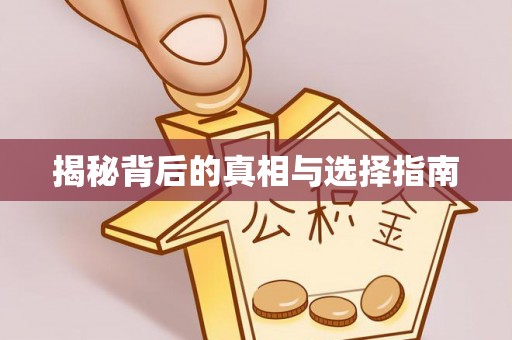 兴文揭秘背后的真相与选择指南