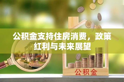 兴文公积金支持住房消费，政策红利与未来展望