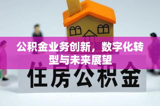 兴文公积金业务创新，数字化转型与未来展望